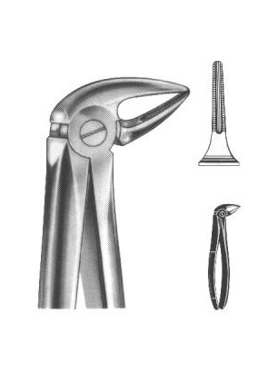 Extracting Forceps English Pattern