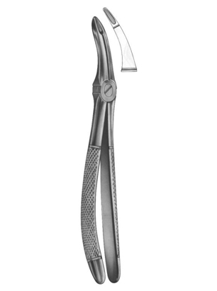 Extracting Forceps English Pattern