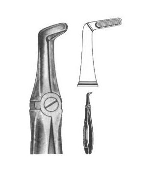 Extracting Forceps English Pattern