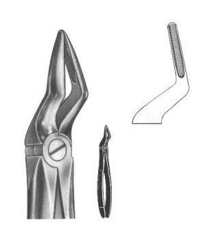 Extracting Forceps English Pattern