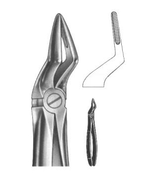 Extracting Forceps English Pattern