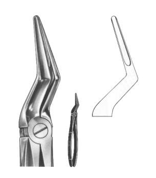 Extracting Forceps English Pattern