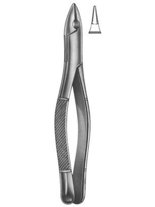 Extracting Forceps English Pattern