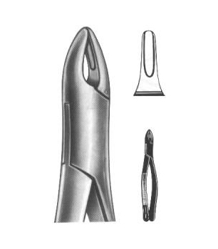 Extracting Forceps English Pattern