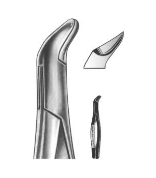 Extracting Forceps English Pattern