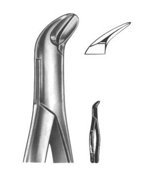 Extracting Forceps English Pattern