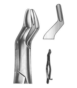 Extracting Forceps English Pattern