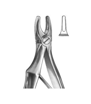 Extracting Forceps English Pattern