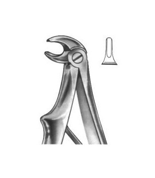 Extracting Forceps English Pattern