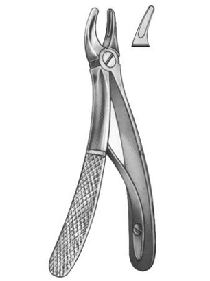 Extracting Forceps English Pattern