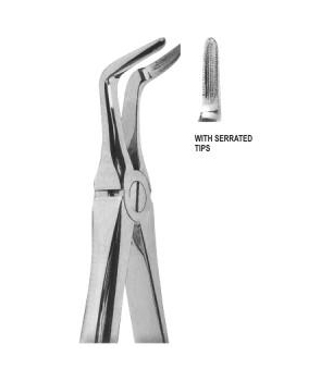 Extracting Forceps English Pattern