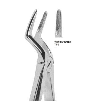 Extracting Forceps English Pattern