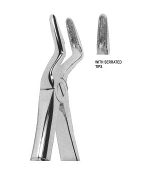 Extracting Forceps English Pattern