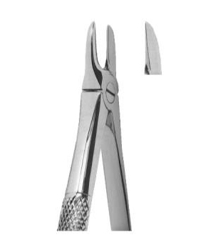 Extracting Forceps English Pattern