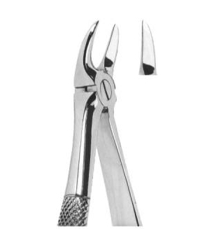 Extracting Forceps English Pattern