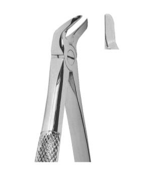 Extracting Forceps English Pattern