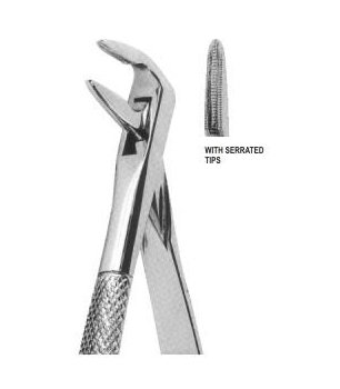 Extracting Forceps English Pattern