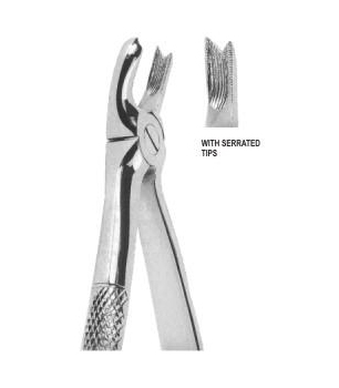 Extracting Forceps English Pattern