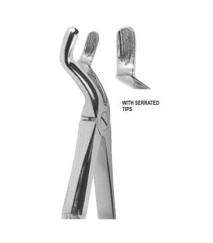 Extracting Forceps English Pattern