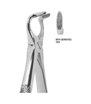 Extracting Forceps English Pattern