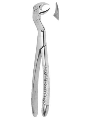 Extracting Forceps English Pattern