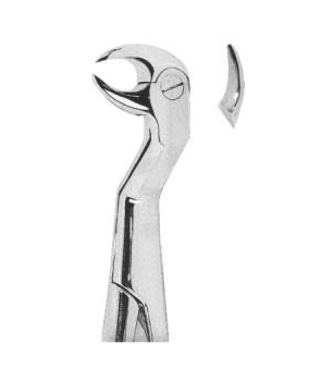 Extracting Forceps English Pattern