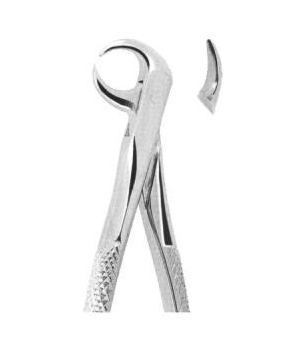 Extracting Forceps English Pattern