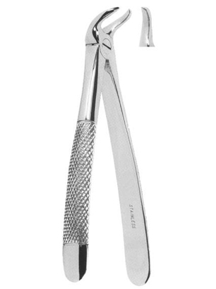 Extracting Forceps English Pattern