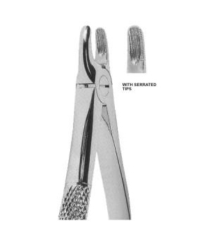 Extracting Forceps English Pattern