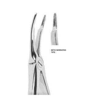 Extracting Forceps English Pattern