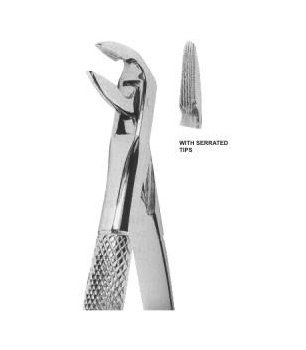 Extracting Forceps English Pattern