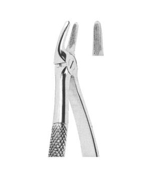 EXTRACTING FORCEPS-ENGLISH PATTERN