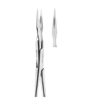 ROOT SPLINTER EXTRACTING FORCEPS