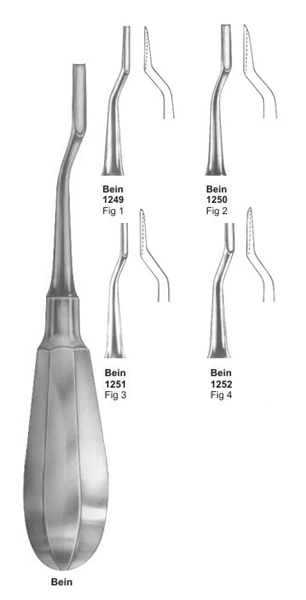 ROOT ELEVATORS