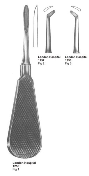 ROOT ELEVATORS