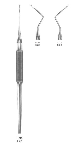 ROOT TIP ELEVATORS