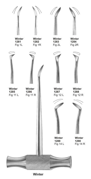 ROOT ELEVATORS